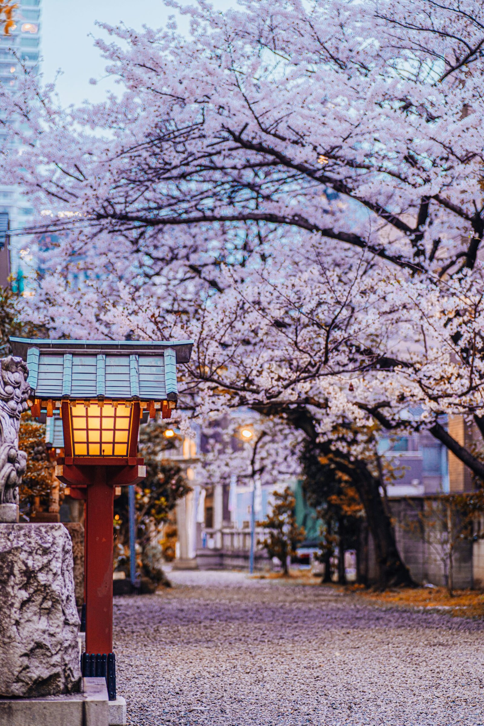Japón
